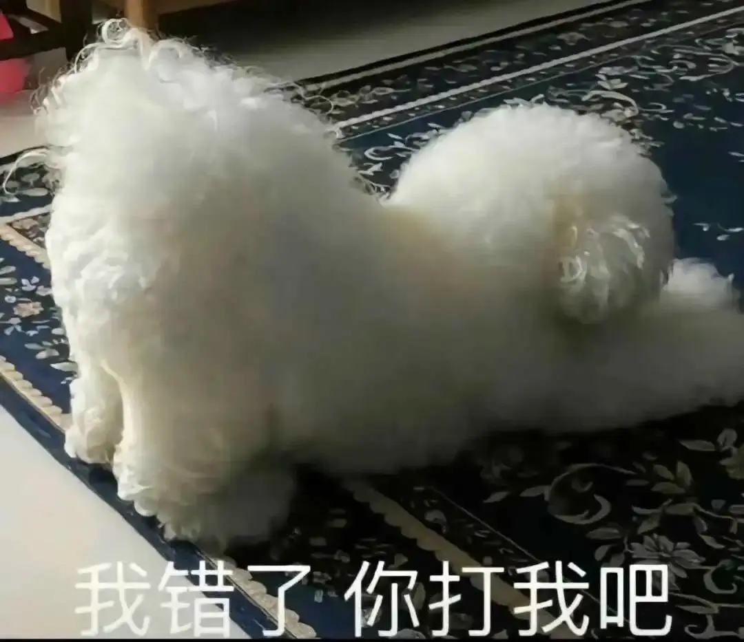 【西檬之家】BDSM新人如何入圈？核心术语与SSC原则指南