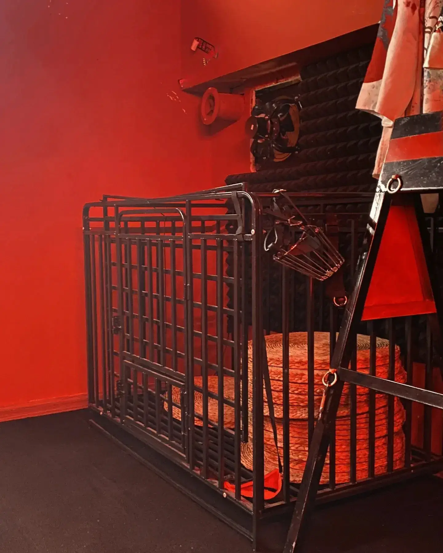 西檬之家-字母圈的DT是什么意思？全面解析BDSM专业术语