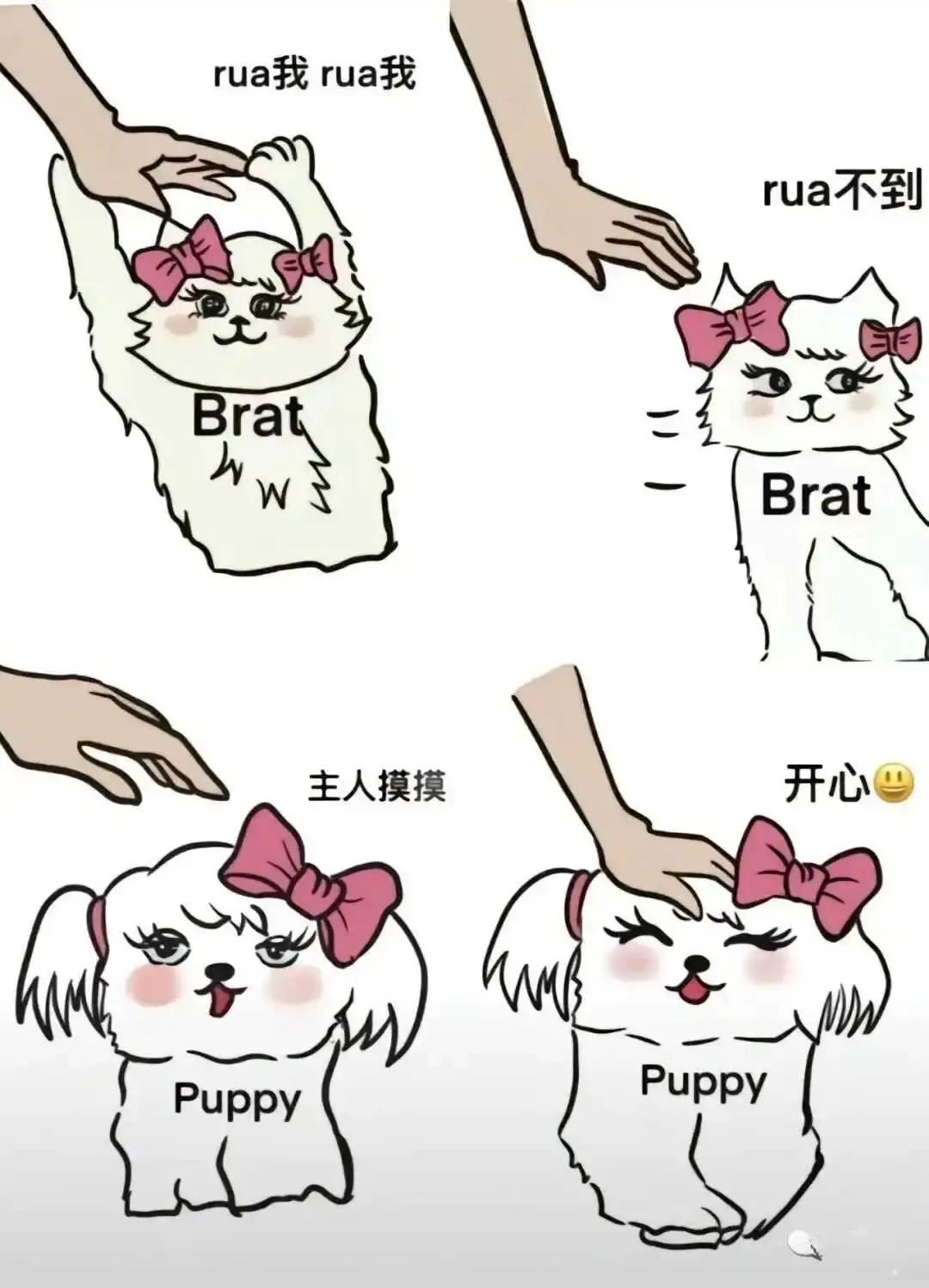 新人入圈指南：字母圈基础解析