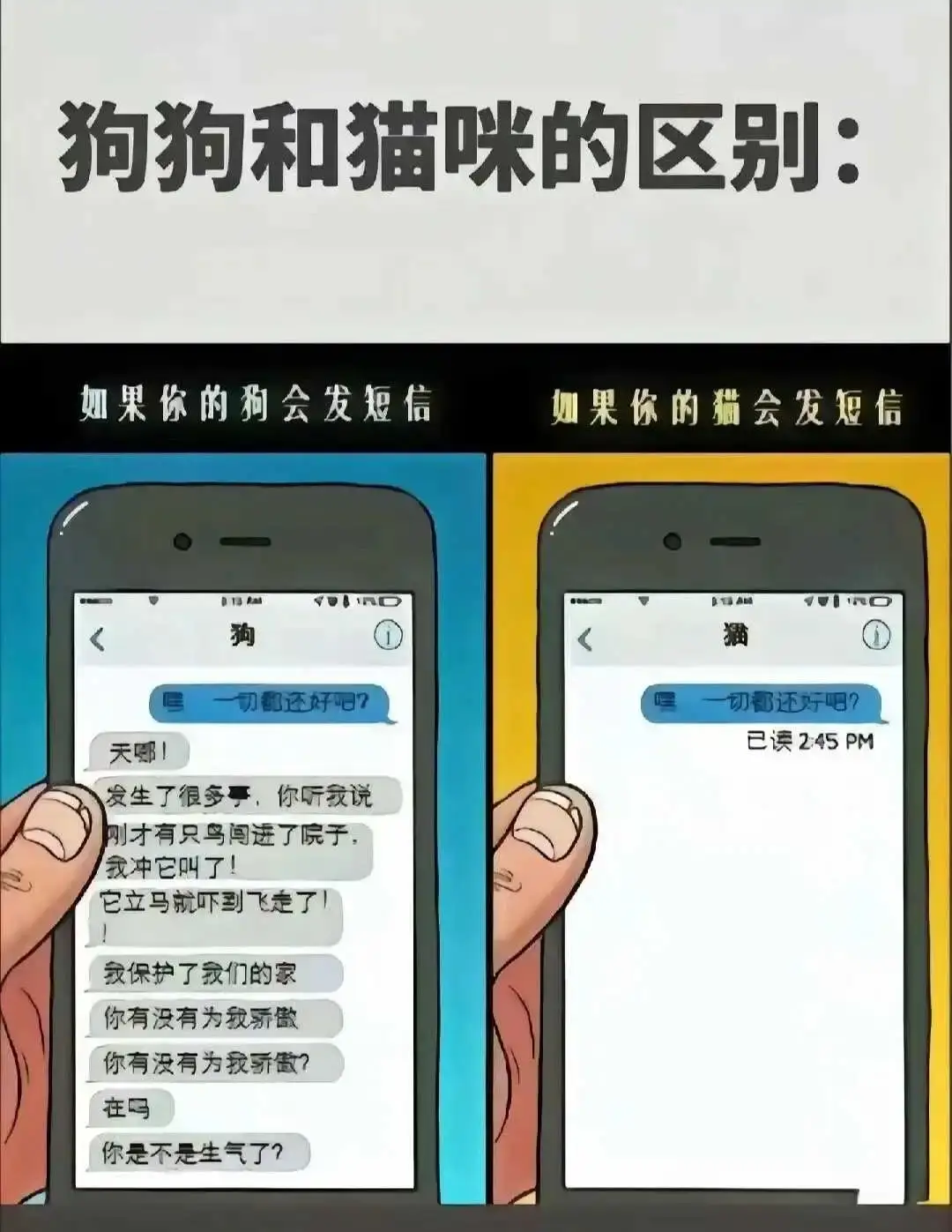 斯慕圈 - 微信图片_20250713011414