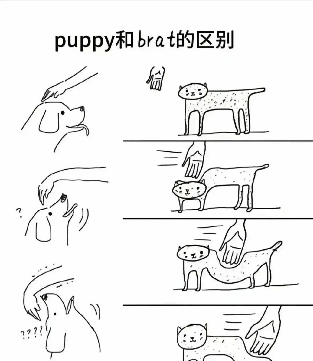 西檬之家-字母圈新人入圈指南，BDSM基础知识解析