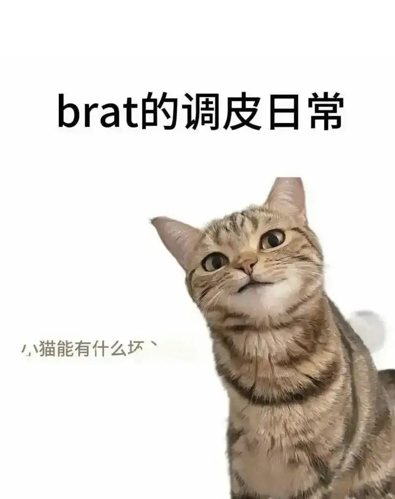 西檬之家-字母圈新人入圈指南：从BDSM文化到SSC原则