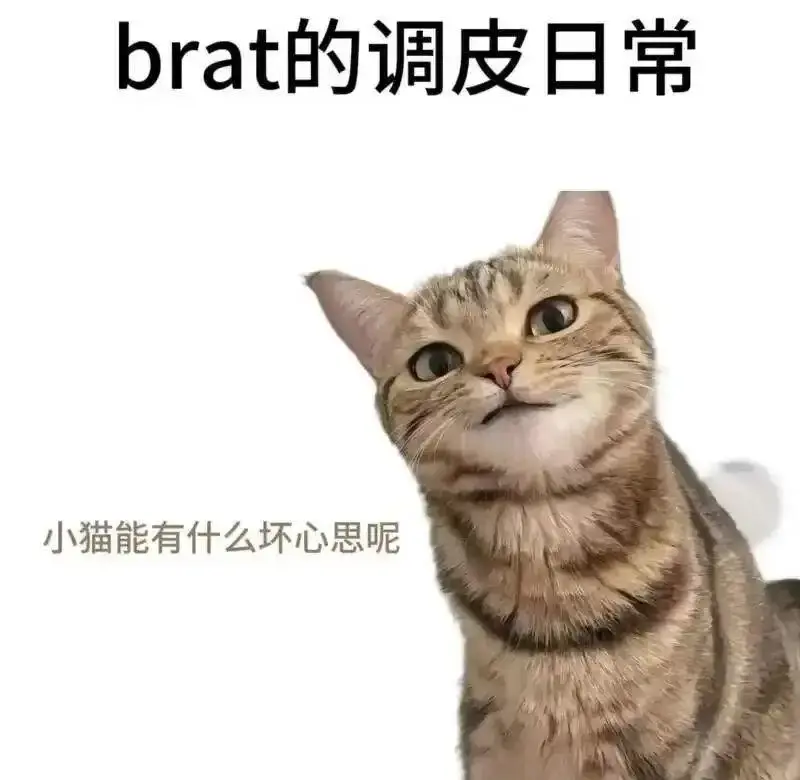 西檬之家-字母圈新人入圈指南