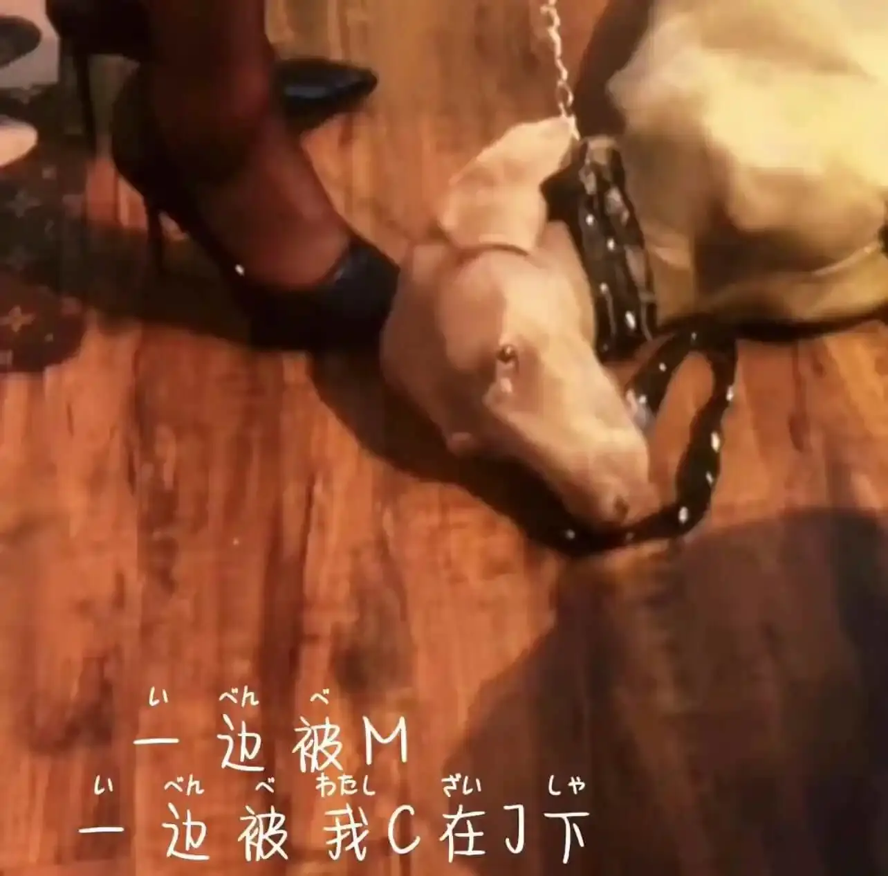 西檬之家-DS关系新手指南：建立健康BDSM关系